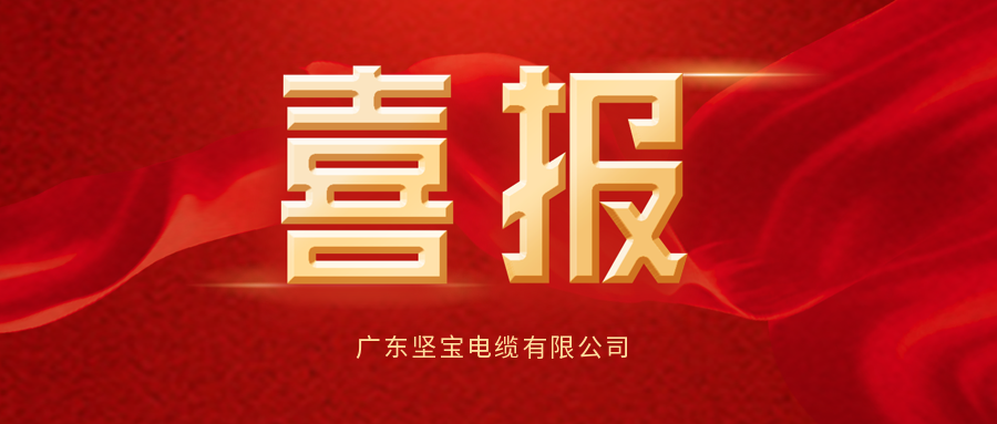 喜報(bào)丨堅(jiān)寶被評(píng)為清潔生產(chǎn)企業(yè)